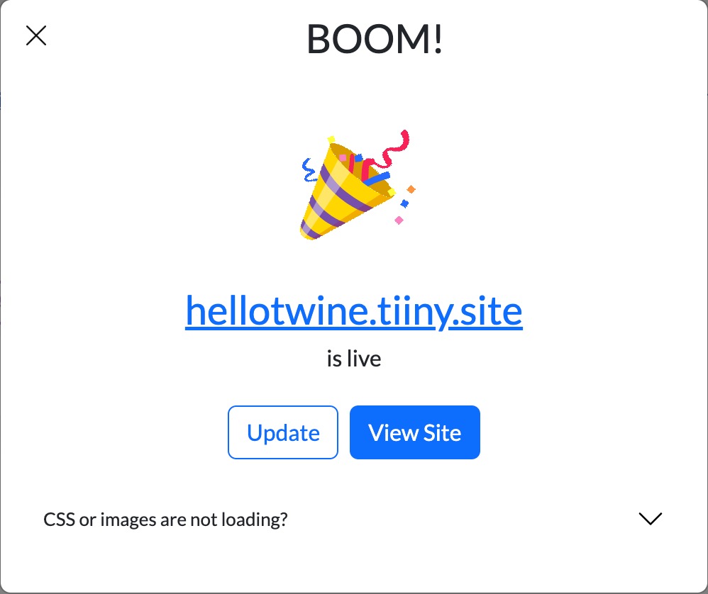Tiiny.host site is live screen