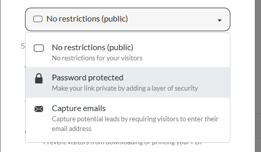 Changing the Access to 'Password protected' on Tiiny Host