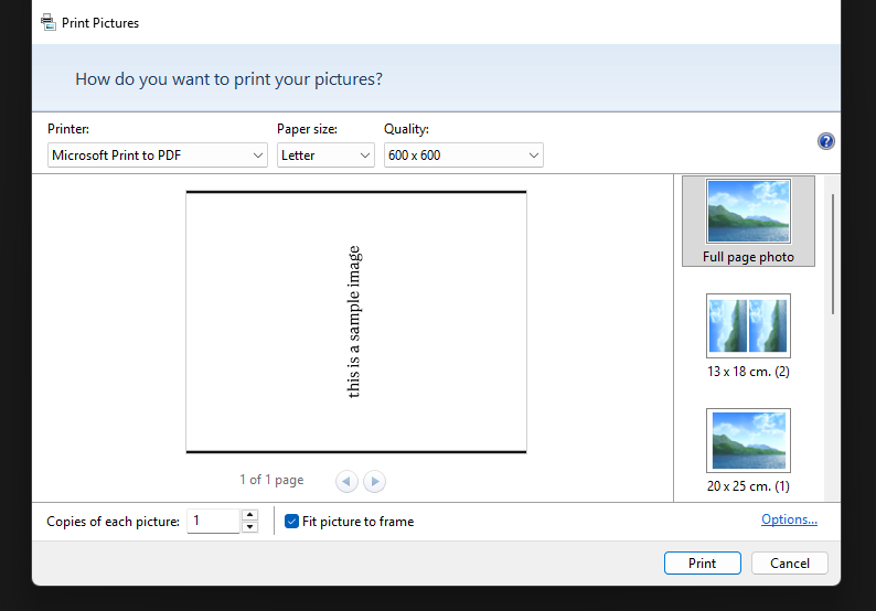 Pop up for print preview to adjust orientation and size of the image for printing