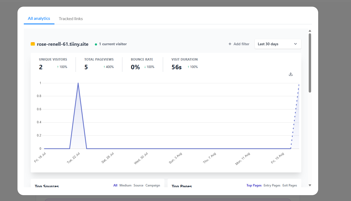 Page Views and visitors on Tiiny Host analytics
