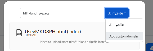 Tiiny Host Custom Domain Tiiny Host domain settings showing .tiiny.site subdomain and Add Custom Domain option