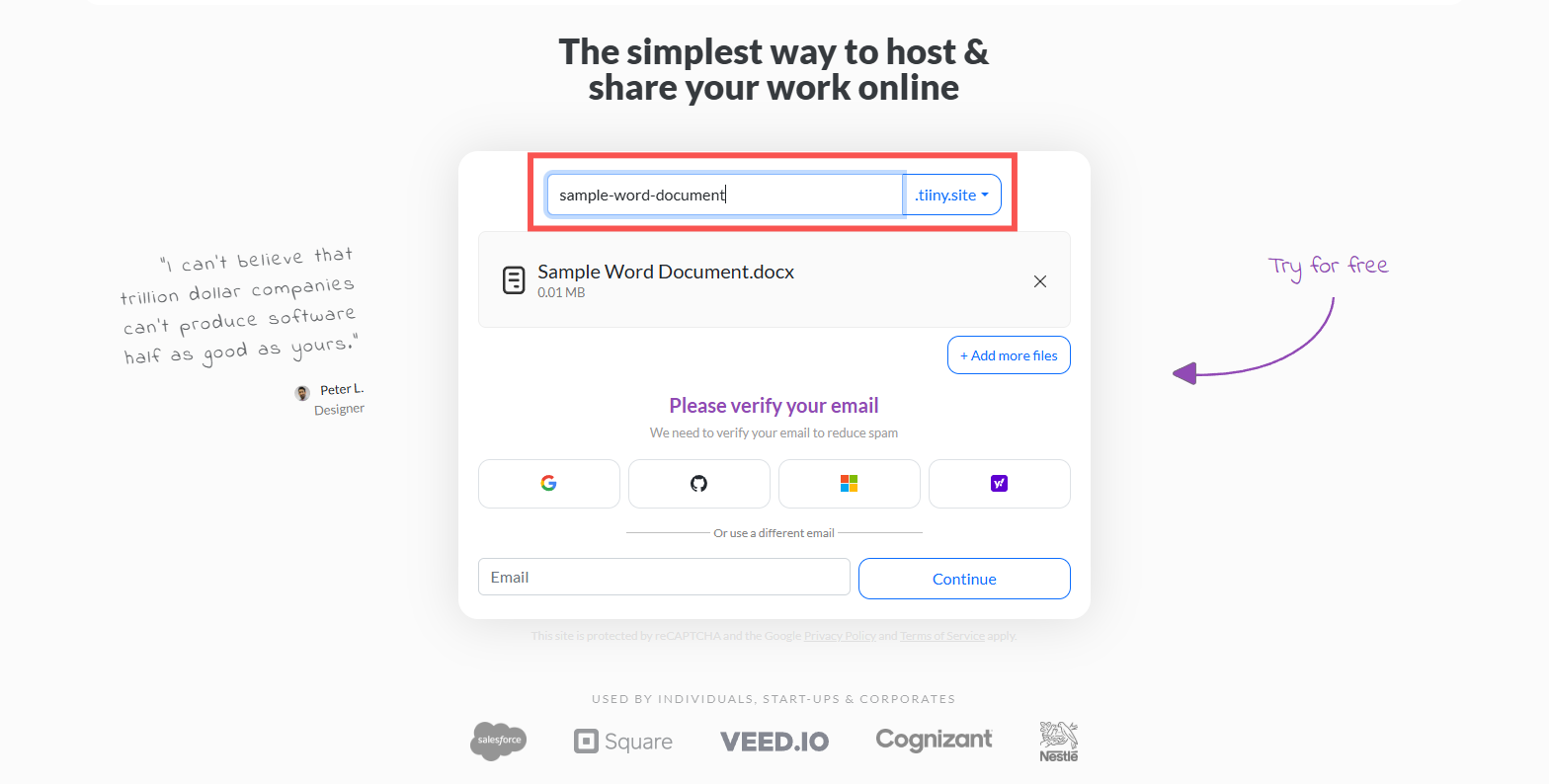 A screenshot of writing link name to get a custom domain on Tiiny Host