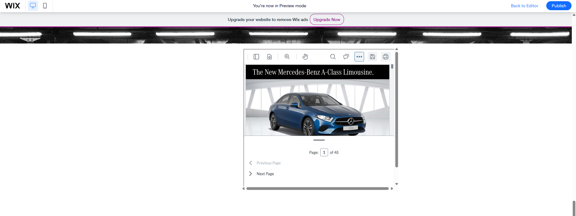 Preview of PDF on Website