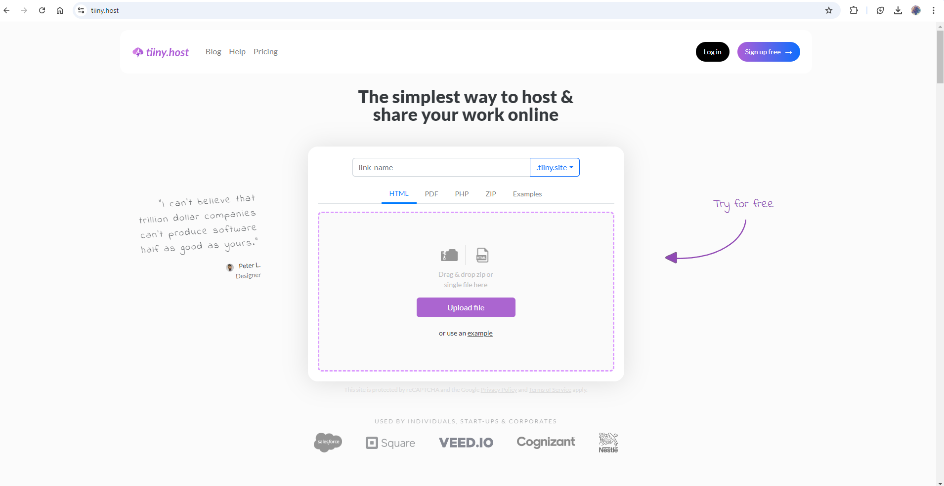 Screenshot of a webpage for Tiiny Host, a web project hosting service. The page includes input fields for a link name and file upload options.