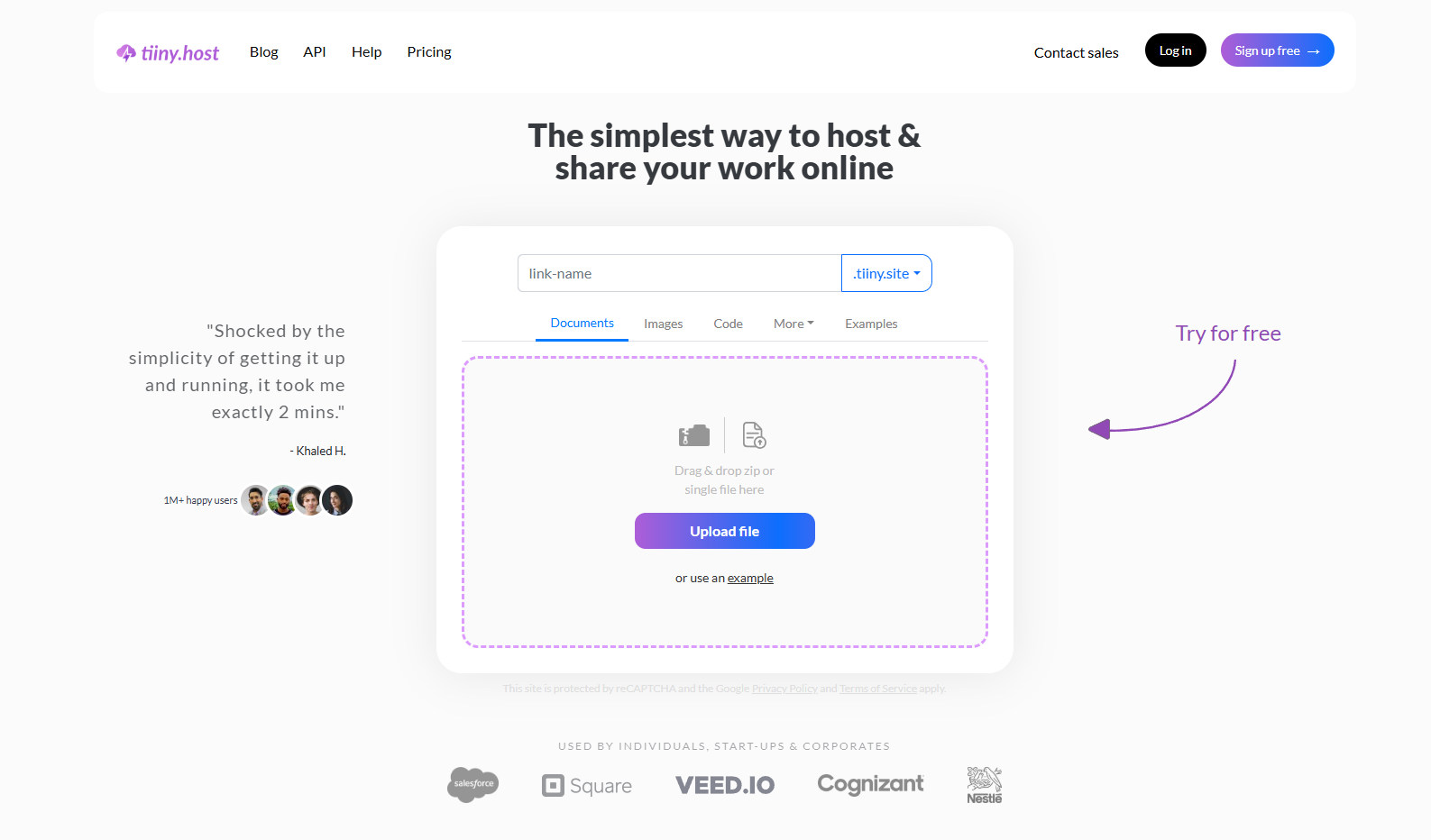Tiiny Host's Homepage